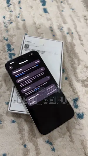 New Apple iPhone 15 Pro Max 256 GB Gray