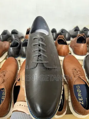 Orginal COLE HAAN Shoe Frome the Store
