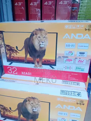Television