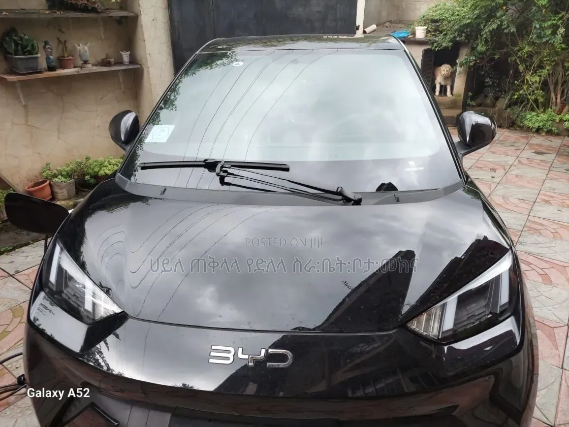 BYD Seagull 2024 Matt Black