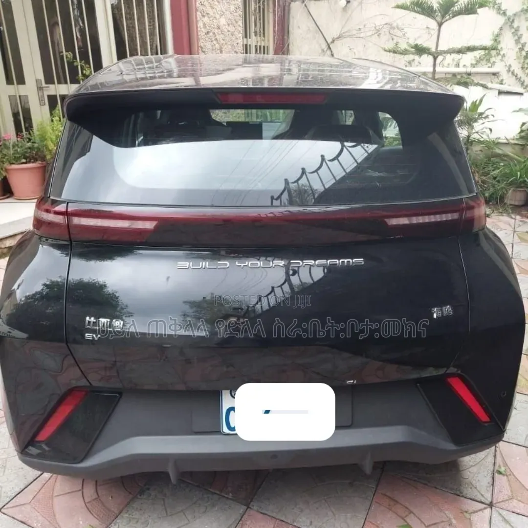 BYD Seagull 2024 Matt Black