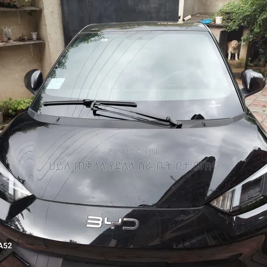 BYD Seagull 2024 Matt Black