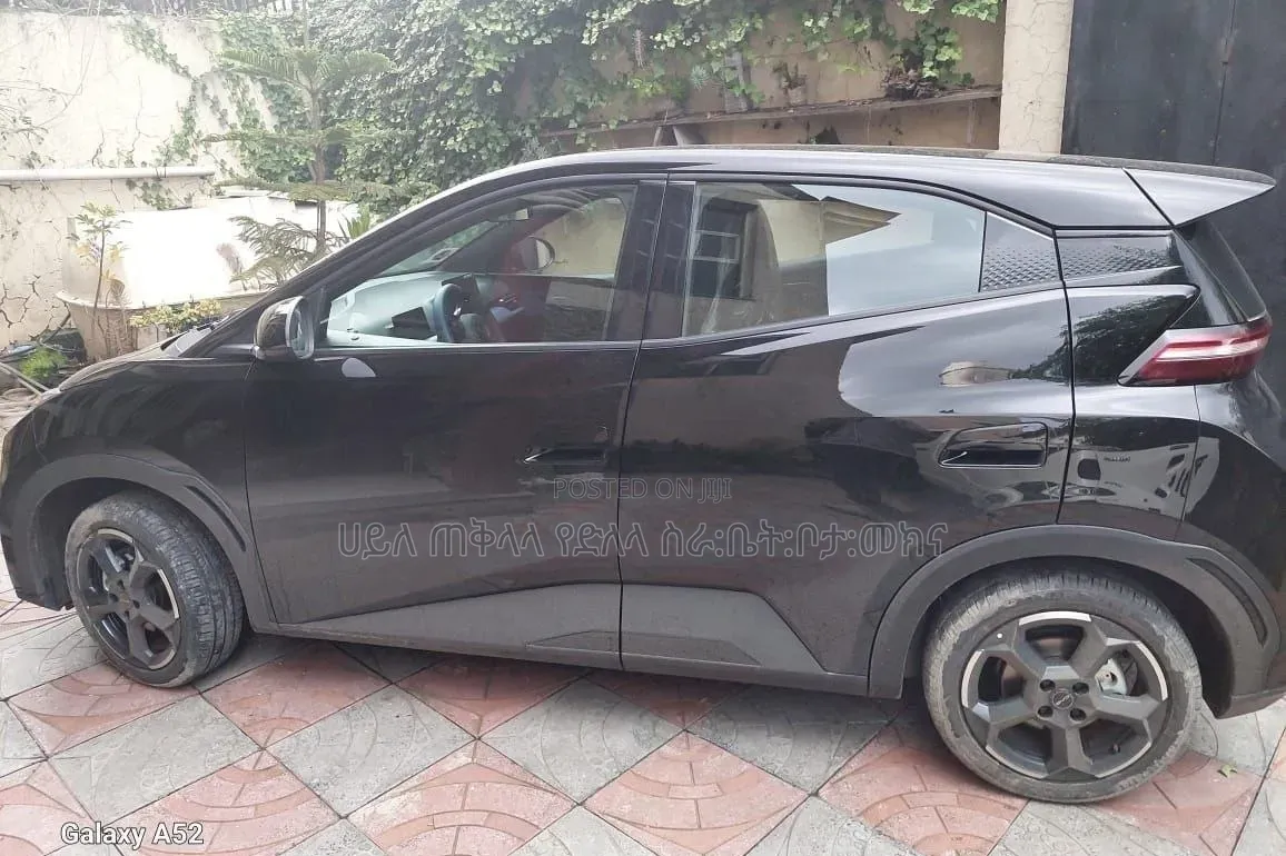 BYD Seagull 2024 Matt Black