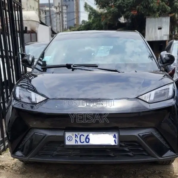BYD Seagull 2024 Black
