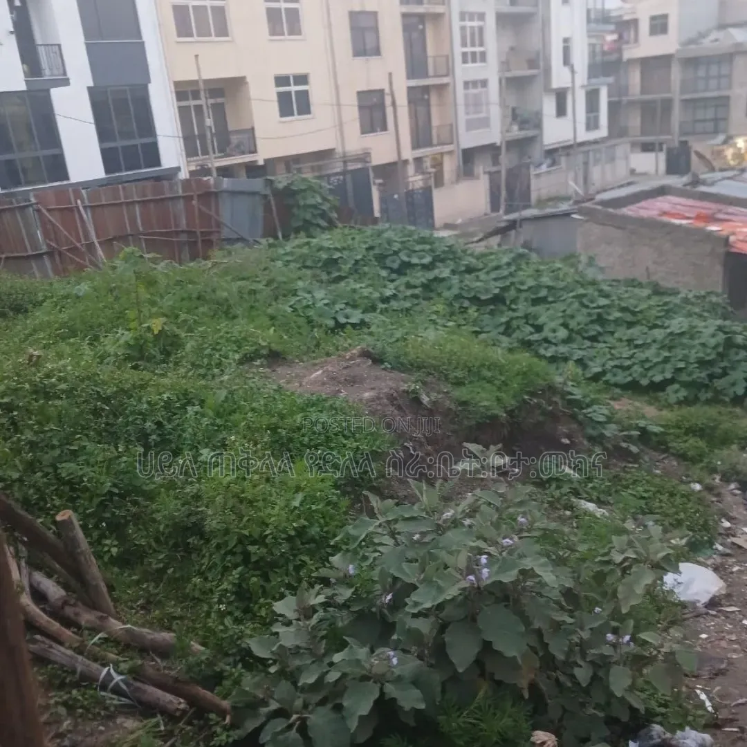 የሚሸጥ 280 ካሬ.ሜትር በልዝ የተወሰደ ቦታ ሰሚት72 አካባቢ