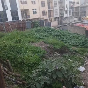 የሚሸጥ 280 ካሬ.ሜትር በልዝ የተወሰደ ቦታ ሰሚት72 አካባቢ