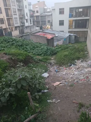 የሚሸጥ 280 ካሬ.ሜትር በልዝ የተወሰደ ቦታ ሰሚት72 አካባቢ