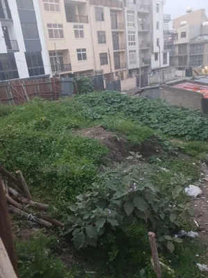 የሚሸጥ 280 ካሬ.ሜትር በልዝ የተወሰደ ቦታ ሰሚት72 አካባቢ