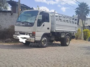 አይሱዙ ገልባጭ ምንም ንኪኪ የሌለው ሞተር ሆነ ሌላነገር ጨርሶ የማይፍልግ ብዙ ያልደከመ ዋጋ