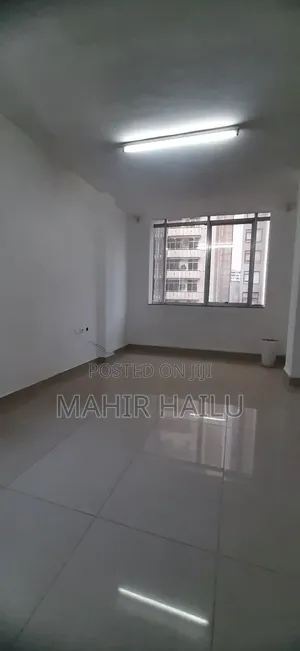 Luxury Office in Bole Bras
