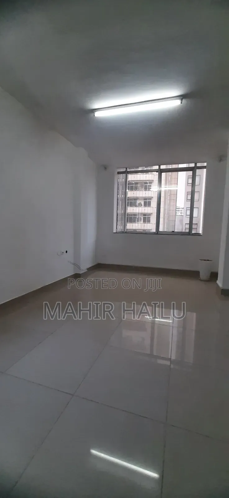Luxury Office in Bole Bras