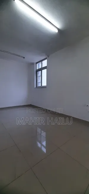 Luxury Office in Bole Bras