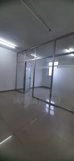 Luxury Office in Bole Bras