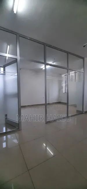 Luxury Office in Bole Bras