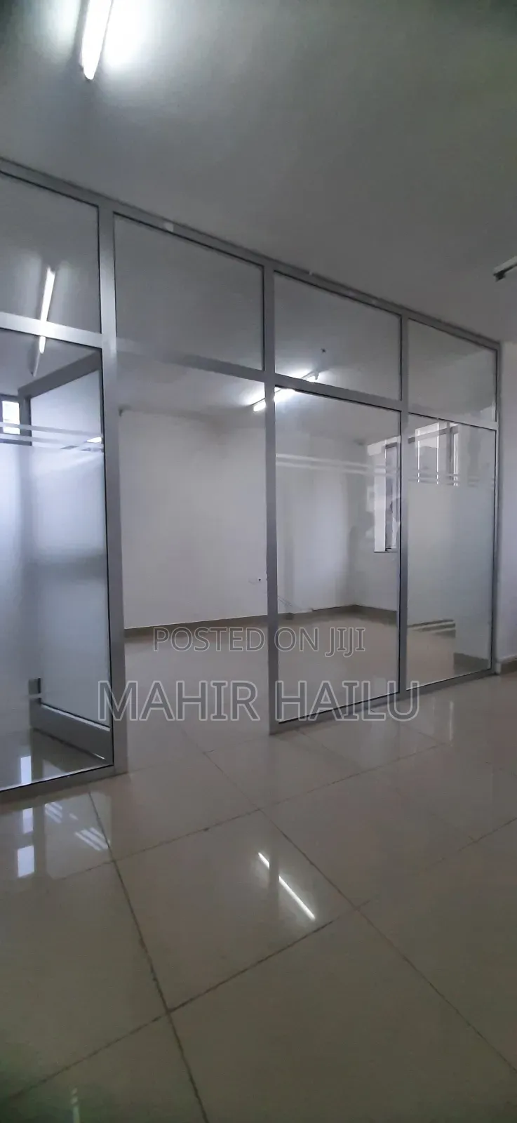 Luxury Office in Bole Bras