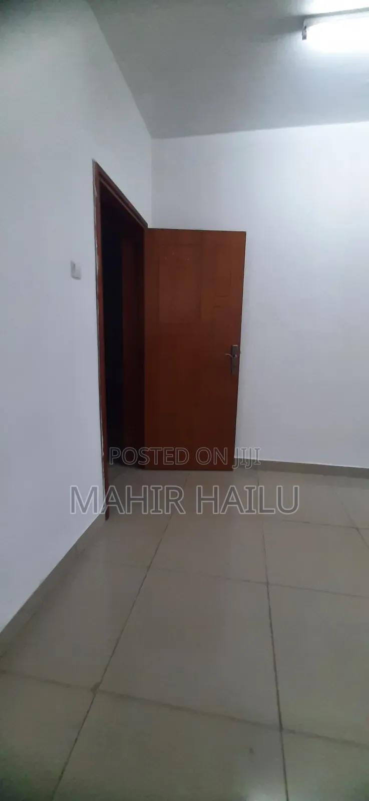 Luxury Office in Bole Bras