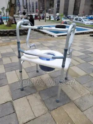 Walker With Commode Chair榻弗A Toilet Safety Rail (Toilet Safety Frame)