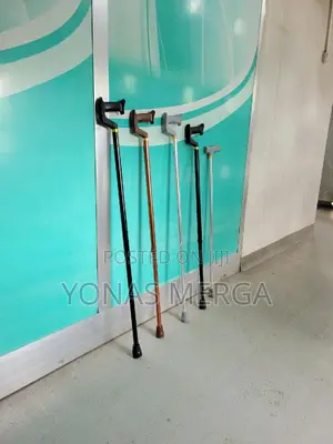 Walking Cane畚从Understanding the Importance of Cane Materials