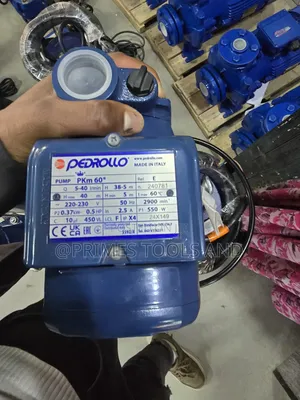 Italian Pedrollo Water Pump – Made in Italy