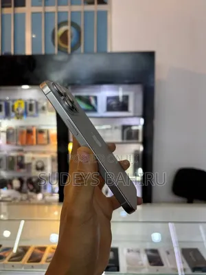 Apple iPhone 15 Pro Max 512 GB Silver