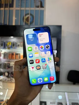 Apple iPhone 15 Pro Max 512 GB Silver