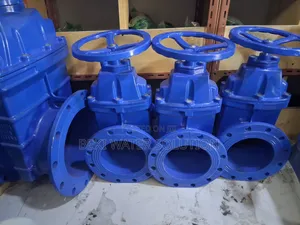Flanged Gate Valve