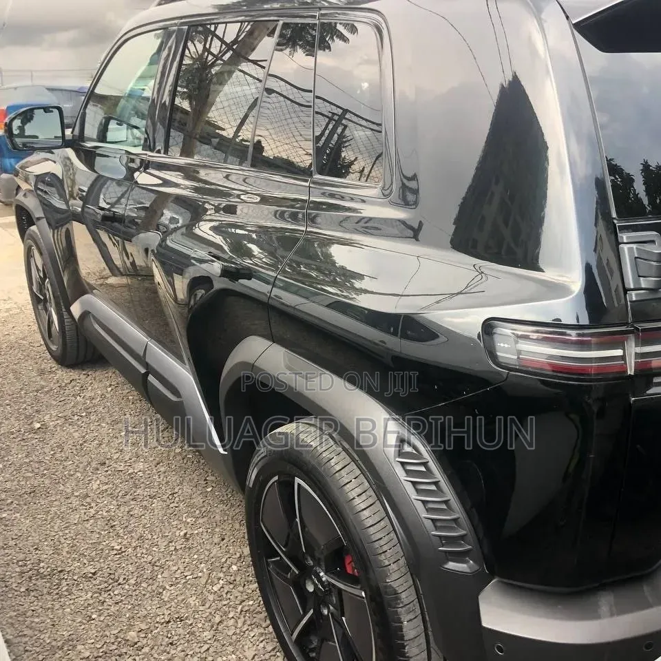 New BYD Leopard 3 2025 Black