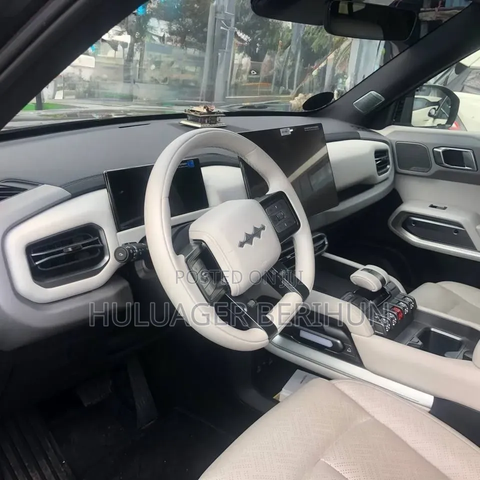 New BYD Leopard 3 2025 Black