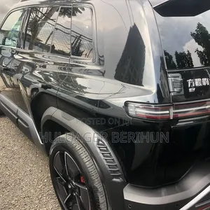 New BYD Leopard 3 2025 Black