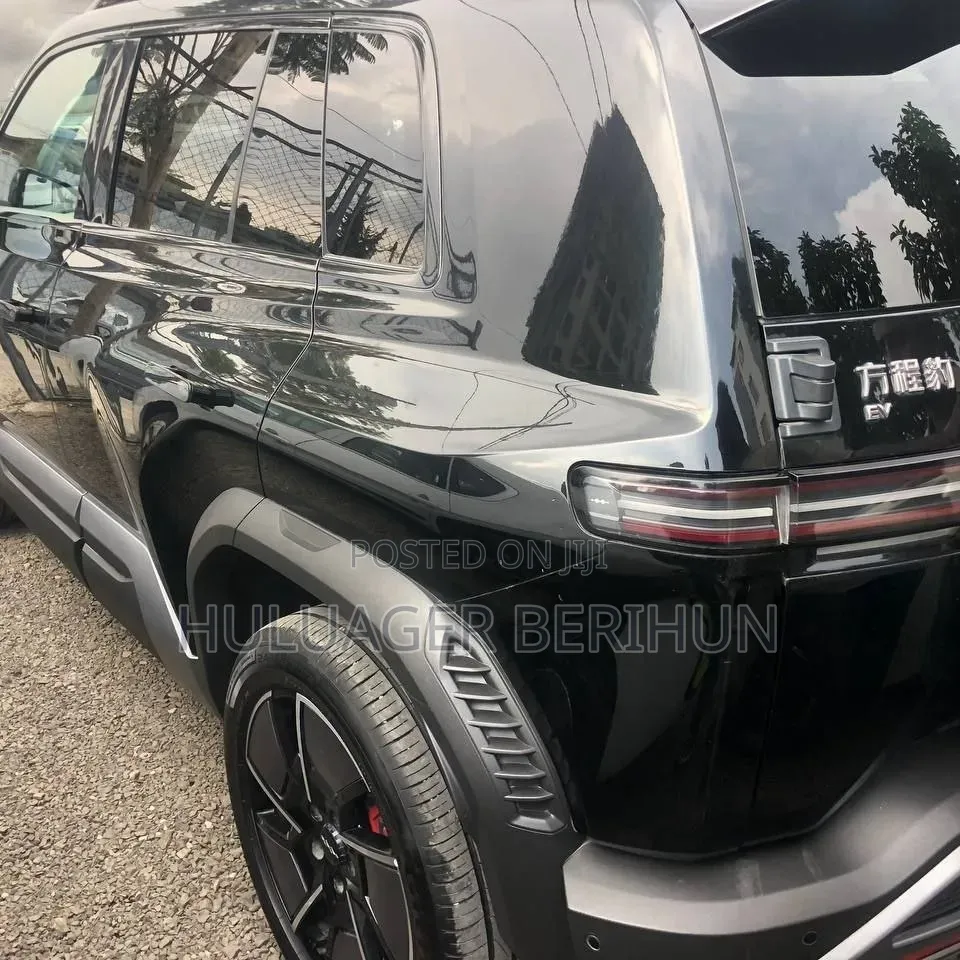 New BYD Leopard 3 2025 Black