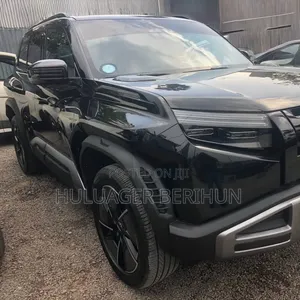 New BYD Leopard 3 2025 Black