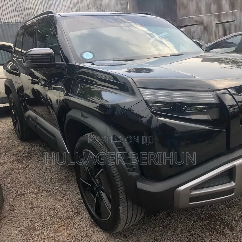 New BYD Leopard 3 2025 Black