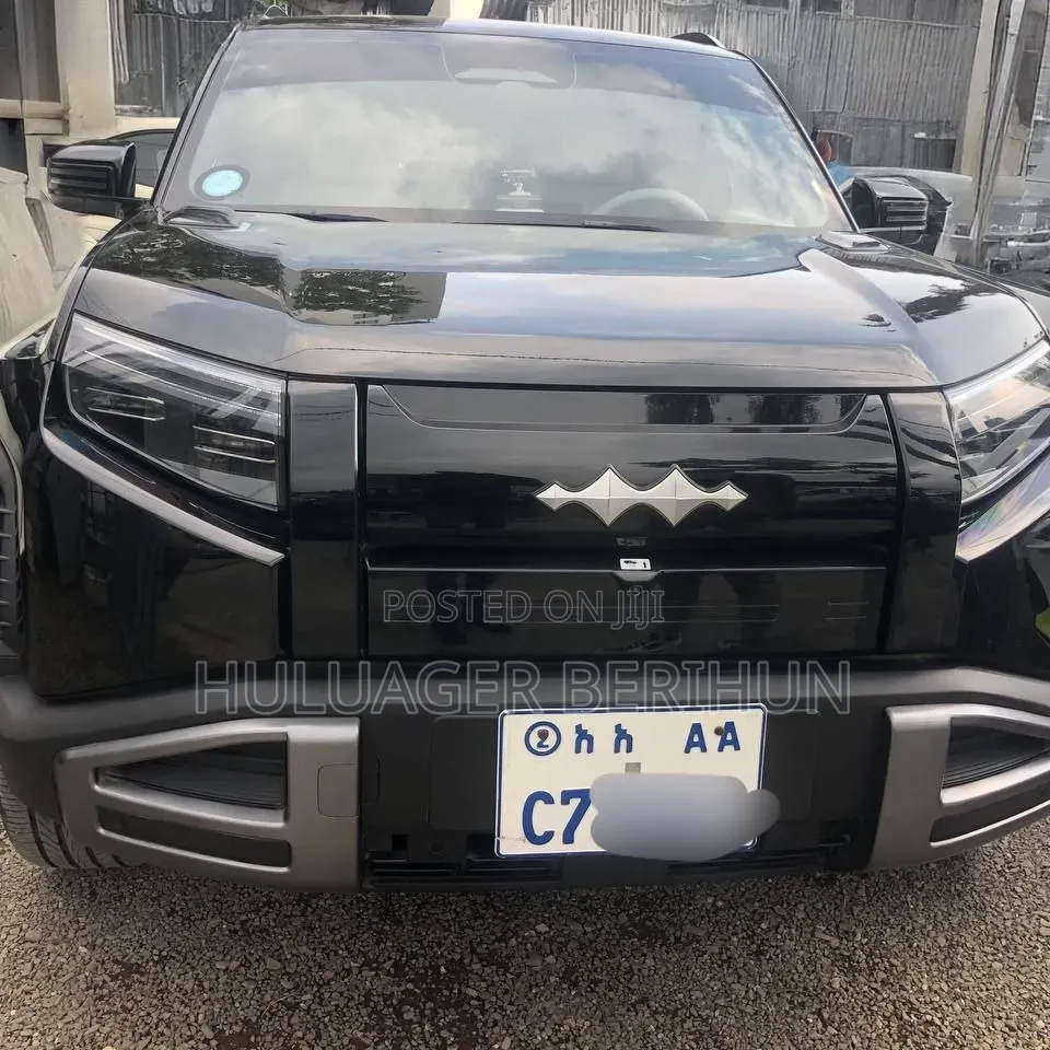 New BYD Leopard 3 2025 Black