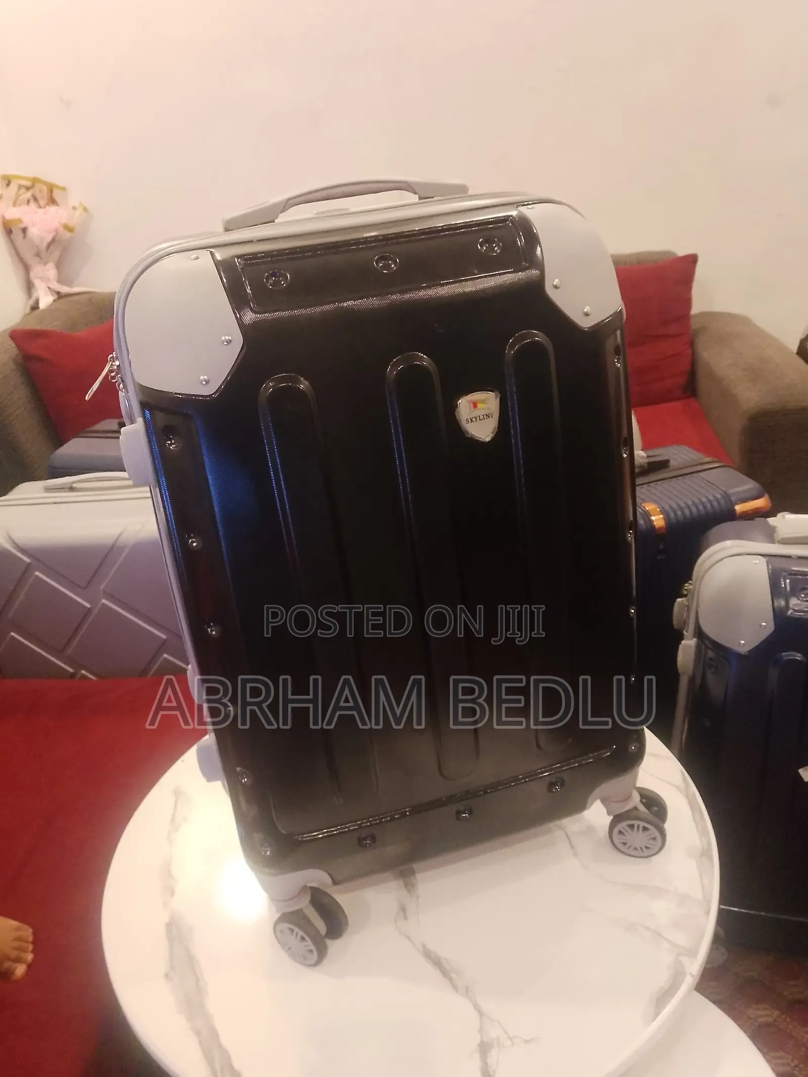 Luggage and Bag