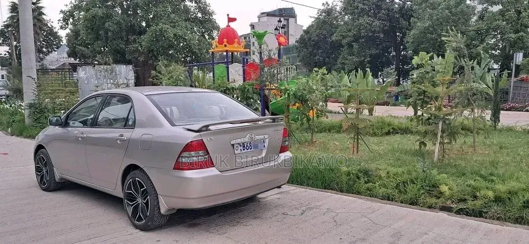 Toyota Corolla 2004 Gray