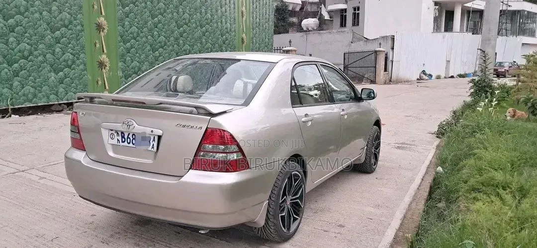 Toyota Corolla 2004 Gray