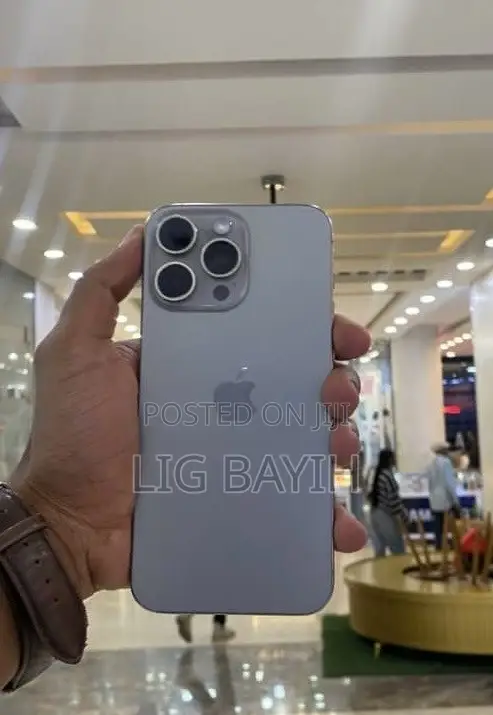 Apple iPhone 15 Pro Max 512 GB Silver