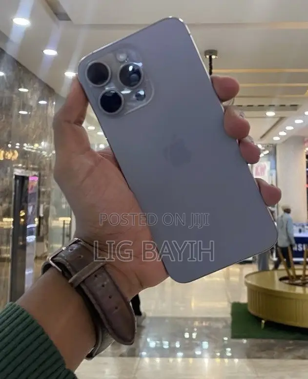 Apple iPhone 15 Pro Max 512 GB Silver