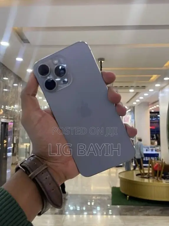 Apple iPhone 15 Pro Max 512 GB Silver