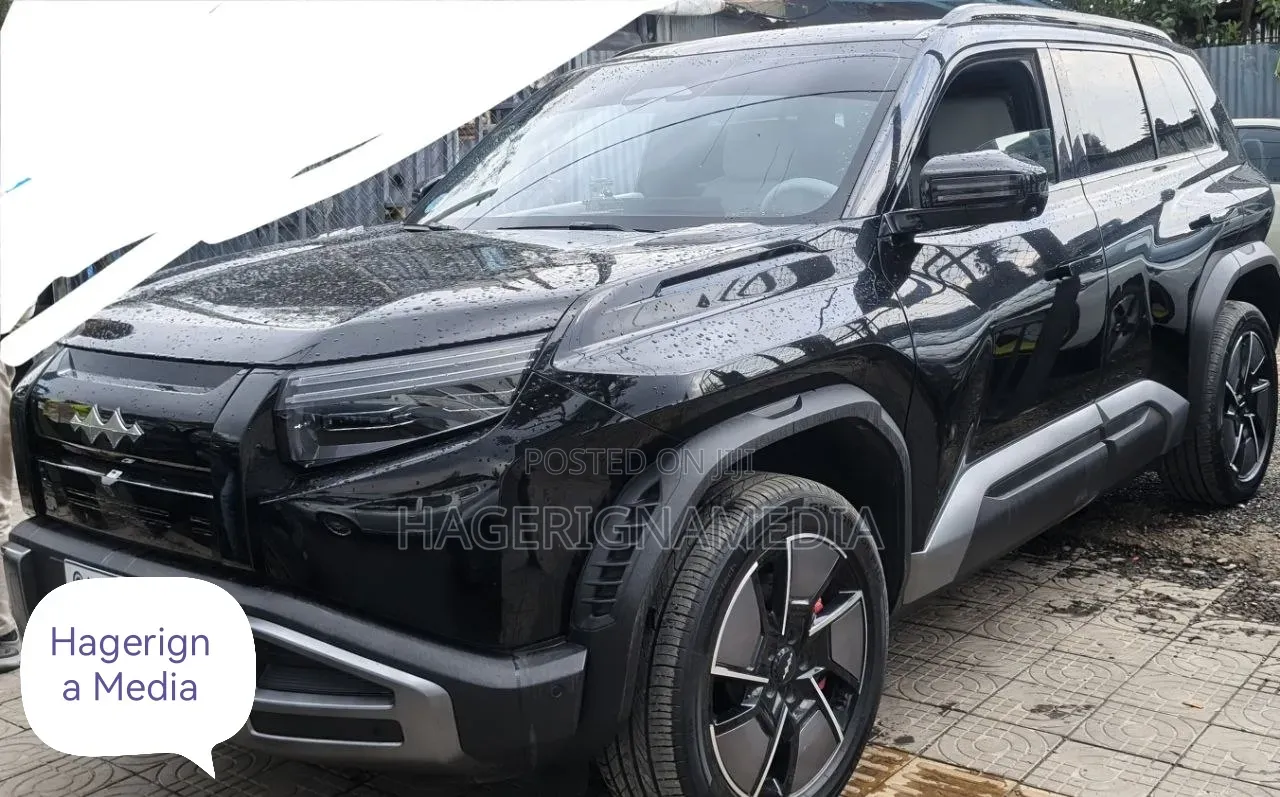 BYD Leopard 3 2025 Black