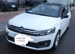 Dongfeng Fengxing Joyear 2021 White