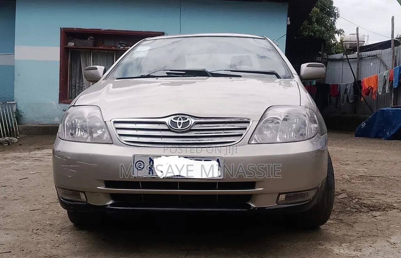 Toyota Corolla 2003 Gray