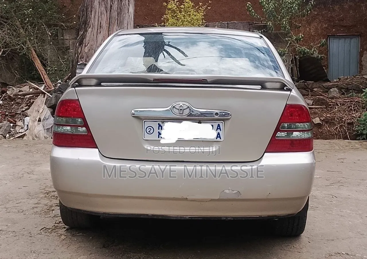 Toyota Corolla 2003 Gray