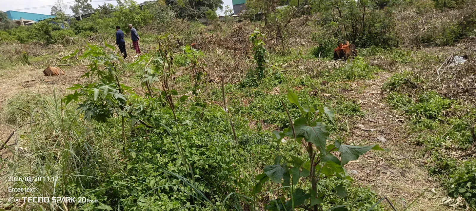 የሚከራይ የጋራጅና የኮንክሪት ማምረቻ የሚሆን