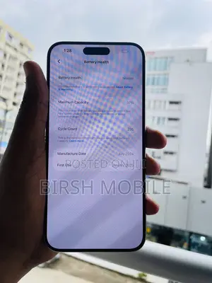 Apple iPhone 15 Pro Max 256 GB Silver