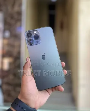 Apple iPhone 13 Pro Max 256 GB Silver