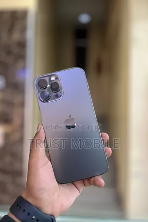 Apple iPhone 13 Pro Max 256 GB Silver