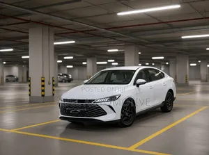New BYD Qin Plus DM-i 2025 White