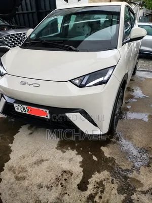 BYD Seagull 2023 Off white