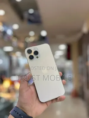 Apple iPhone 13 Pro Max 128 GB Silver